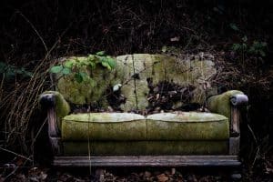 Read more about the article Signs That You Should Get Rid of Old Furniture